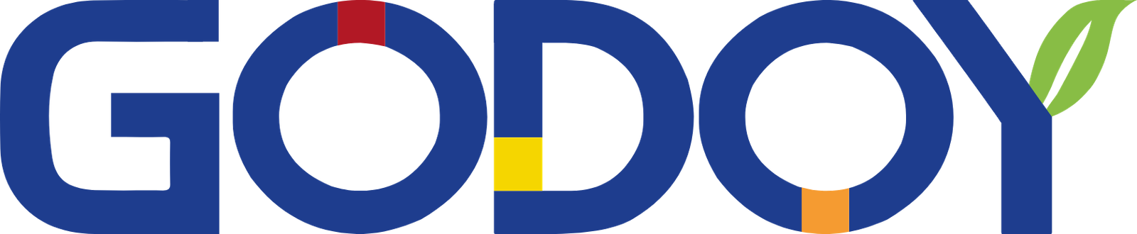 logo godoy